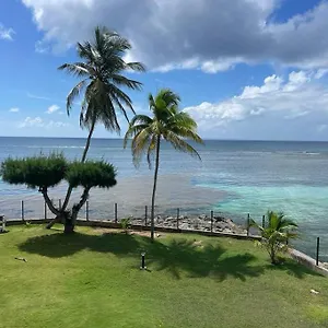  Appartement Ti Macloa - Les Pieds Dans L'eau